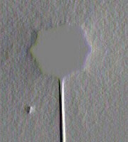 /album/galleria-foto-sfera-in-movimento/a1362760434052bhzsfera-g46ugxz09kk87-frammenta76gf2-jpg1/